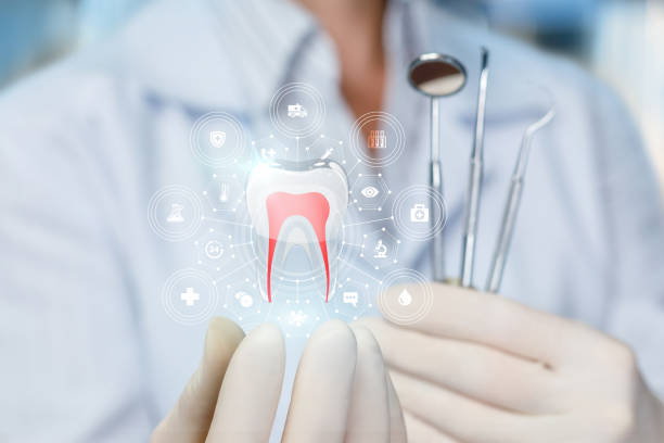Best Dental Exams and Cleanings  in Pomona, NY